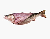 A Whole Uncooked Sea Bass, Partially Filleted