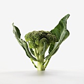 Broccoli with Leaves