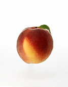 A Peach with Leaf