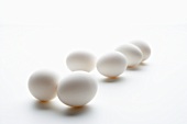 Half Dozen White Eggs
