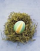 Easter Egg in Nest