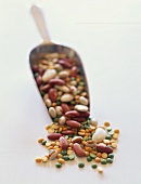 Various Dried Legumes Spilling From Scoop