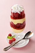 Raspberry Parfait on a Plate with a Spoon