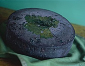 Wheel of Goat Cheese with Fig Leaf