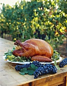 Whole Roast Turkey on Table in Vineyard
