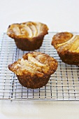 Apfel-Käse-Muffins auf Kuchengitter