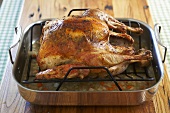 A Whole Roast Turkey on a Rack in a Roasting Pan