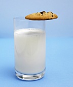 Glass of Milk with a Chocolate Chip Cookie on Rim