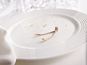 Wishbone on Dinner Plate