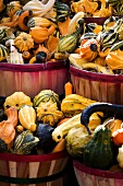 Large Variety of Gourds in Baskets