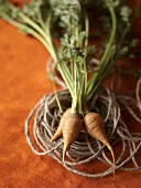 Three Fresh Carrots with Stems on Twine