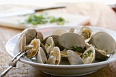 Bowl of Steamed Clams