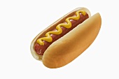 Hot Dog with Mustard on a White Background