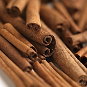 Cinnamon Sticks; Close Up