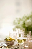 Glass of White Wine on Table 