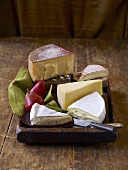 Assorted Cheese Tray