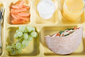 Healthy Lunch Tray