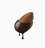 Almond Dipped in Chocolate; White Background