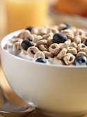 Oat Ceral with Blueberries and Milk, Close Up