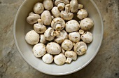 Bowl of Fresh White Mushrooms; From Above