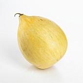 A Whole Crenshaw Melon
