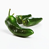 Grüne Jalapeno Chilischoten