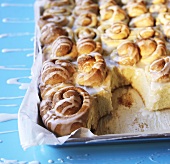 Cinnamon Rolls in Parchment Paper Lined Pan; Some Removed