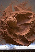 Ein Schokoladentrüffel in Kakaopulver