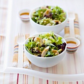Two Bowls of Salad with Chicken and Pine Nuts, Dressing on the Side