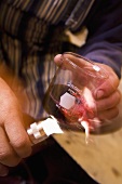 Checking Wine for Sediment