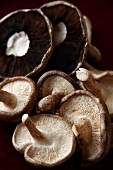 Fresh Shiitake and Portabello Mushrooms