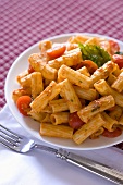 Rigatoni with Tomato Sauce on a White Plate