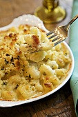 Forkful of Baked Organic Macaroni and Cheese Above Dish