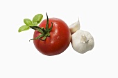 Tomate, Knoblauch und Basilkum auf weißem Untergrund