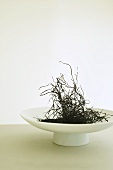 Arami Seaweed on Pedestal Dish