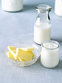 Assorted Dairy Products; Cheese, Milk and Yogurt 