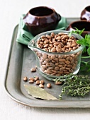 Dry Pinto Beans with Aromatic Herbs