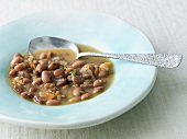 Bowl of Pinto Bean Stew with Spoon