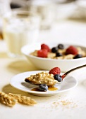 Spoonful of Oatmeal with Berries and Honey
