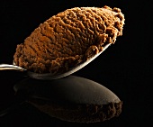 Spoonful of Chocolate Ice Cream