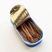 Opened Can of Anchovies