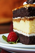 A Piece of Cappuccino Cake With Raspberry