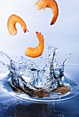 Shrimp Splashing into Water