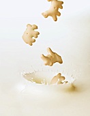 Animal Cookies Splashing into Milk