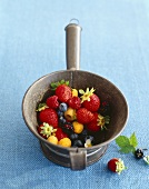 Mixed Berries in an Antique Dish