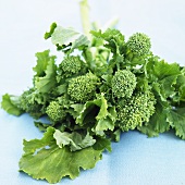Young broccoli