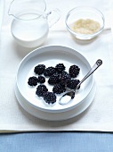 Bowl of Fresh Blackberries with Cream; Spoon