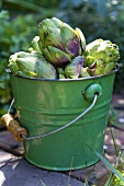 Artichokes in a Green Pail; Outdoors