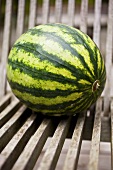 Whole Watermelon on Wooden Outdoor Chair