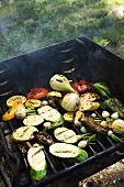 Vegetables on a barbecue